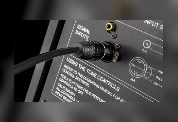 Subwoofer Interconnect